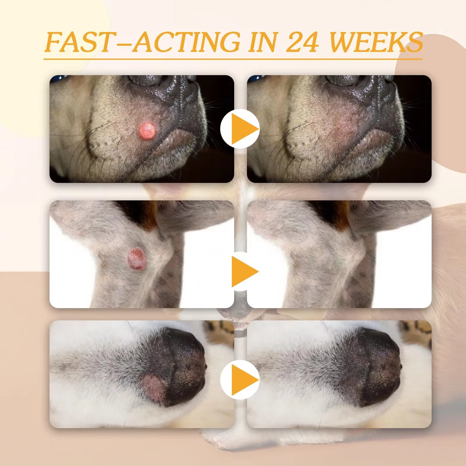 Dog Wart Remover Cream anti Moles Painless Stain Spot Papillomas Removal Wipe off Tags Non-Irritating Cat Pet Skin Tag Treatment