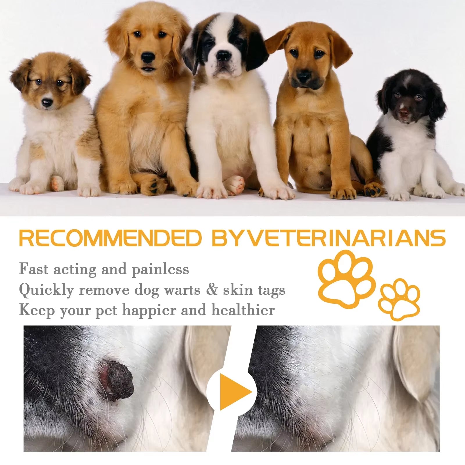 Dog Wart Remover Cream anti Moles Painless Stain Spot Papillomas Removal Wipe off Tags Non-Irritating Cat Pet Skin Tag Treatment