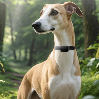 Pet GPS Tracker with Adjustable Collar Smart Pet Locator Cat Tracker for Dogs and Cats