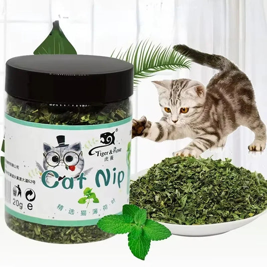 Organic Catnip Health Toy – 100% Natural Mint Grass for Dental Care & Stress Relief