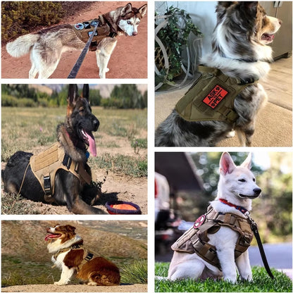 Pet Harness Luxury Dog Leash Set Chest Dog Nylon Camouflage Dog Harness